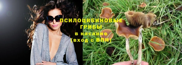 кокаин премиум Алексеевка