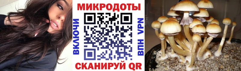 Галлюциногенные грибы прущие грибы  Южно-Сухокумск 